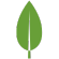 MongoDB